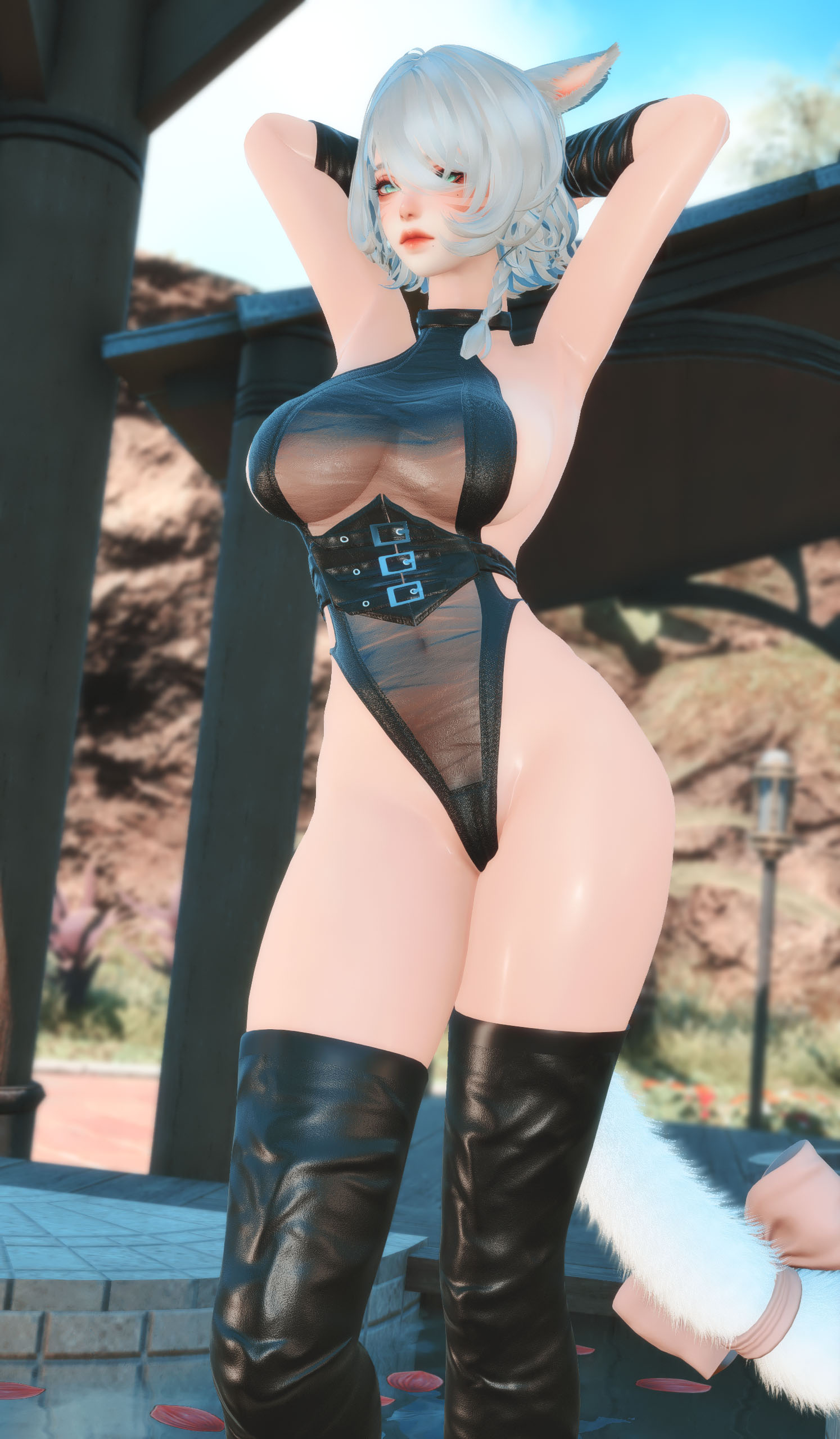 VENUS Confiance[16.5]